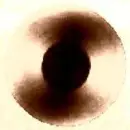 VinylofOpal
