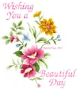 Wishing you a Beautiful Day