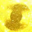 VinylofYellowGold