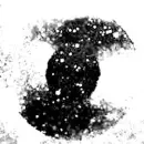 VinylofMarcasite