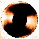 VinylofDarkBrown