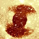 VinylofBrownZirconia