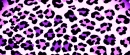 AmethystAnimal