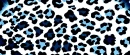 SapphireAnimal