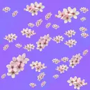 flower with purple background