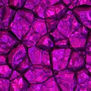 Pink Crumpled background