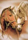 brown horses