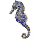 seahorse