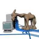 camel with PC