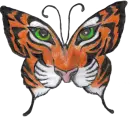Tiger Butterfly