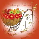 Colors of Autumn