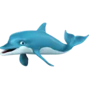 Dolphin