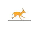 running antelope