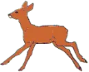 running antelope