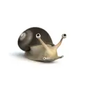 snail