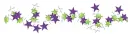 Star Divider
