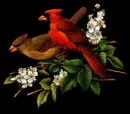 glitter cardinal