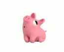 pig