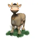 cow
