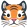 Tiger Face