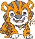 Baby Tiger