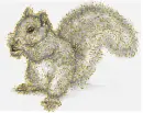 squirrel