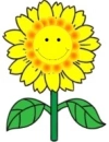 Yellow Daisy Smile