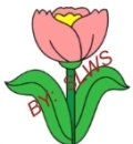 Pink Tulip
