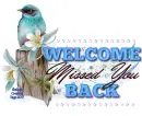 Welcome Back