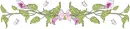 Floral & Butterflies