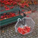Fall Bench & Umbrella