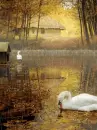 Fall Swan Lake