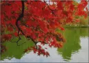 Fall 