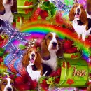 Jessi - Seamless Background Basset Hounds & Rainbows