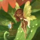 Fairy