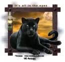 bLACK pANTHER
