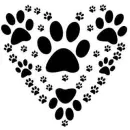 Paw Prints