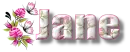 Pink  Flowers - Jane
