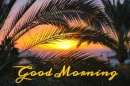 GOOD MORNING