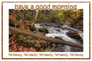 have a good morning (fall beauty)