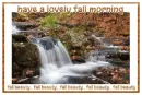 have a lovely fall morning