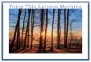Enjoy This Autumn Morning