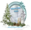 Winter Beauty - Linda
