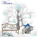 Winter...