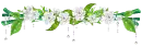 white flowers
