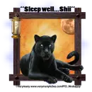 Black Panther - Shii