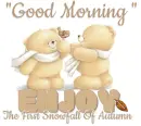 GOOD MORNING.. ENJOY THE FIRST SNOWFALL OF AUTUMN