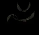 Halloween Bats