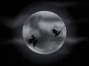 Halloween Bats
