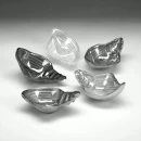 SilverbytheSea